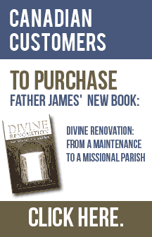 Divine Renovation Book Canada